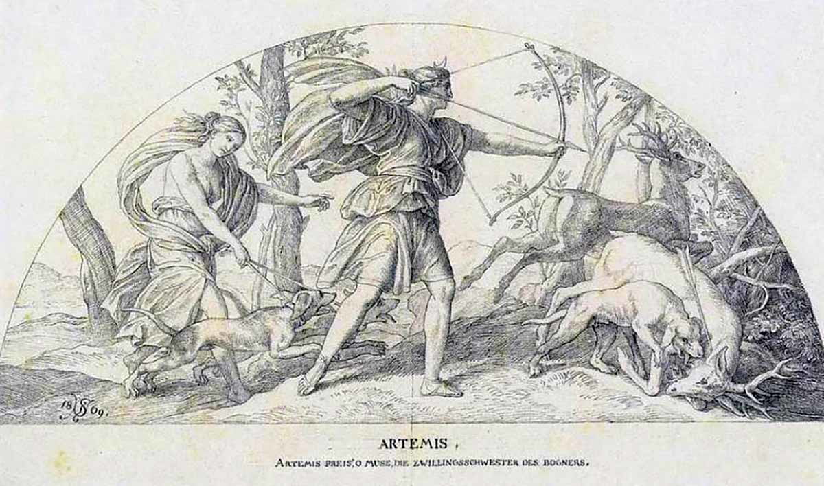 artemis hunting