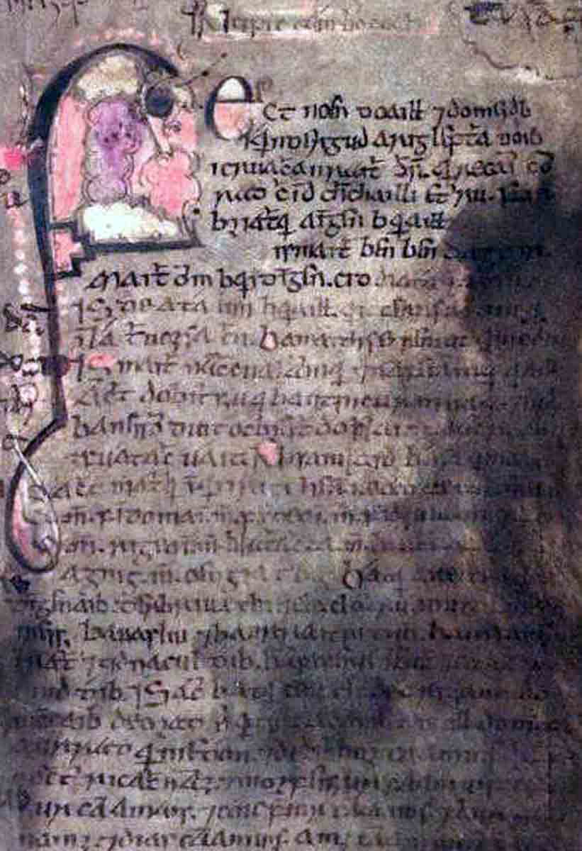 book leinster folio 53