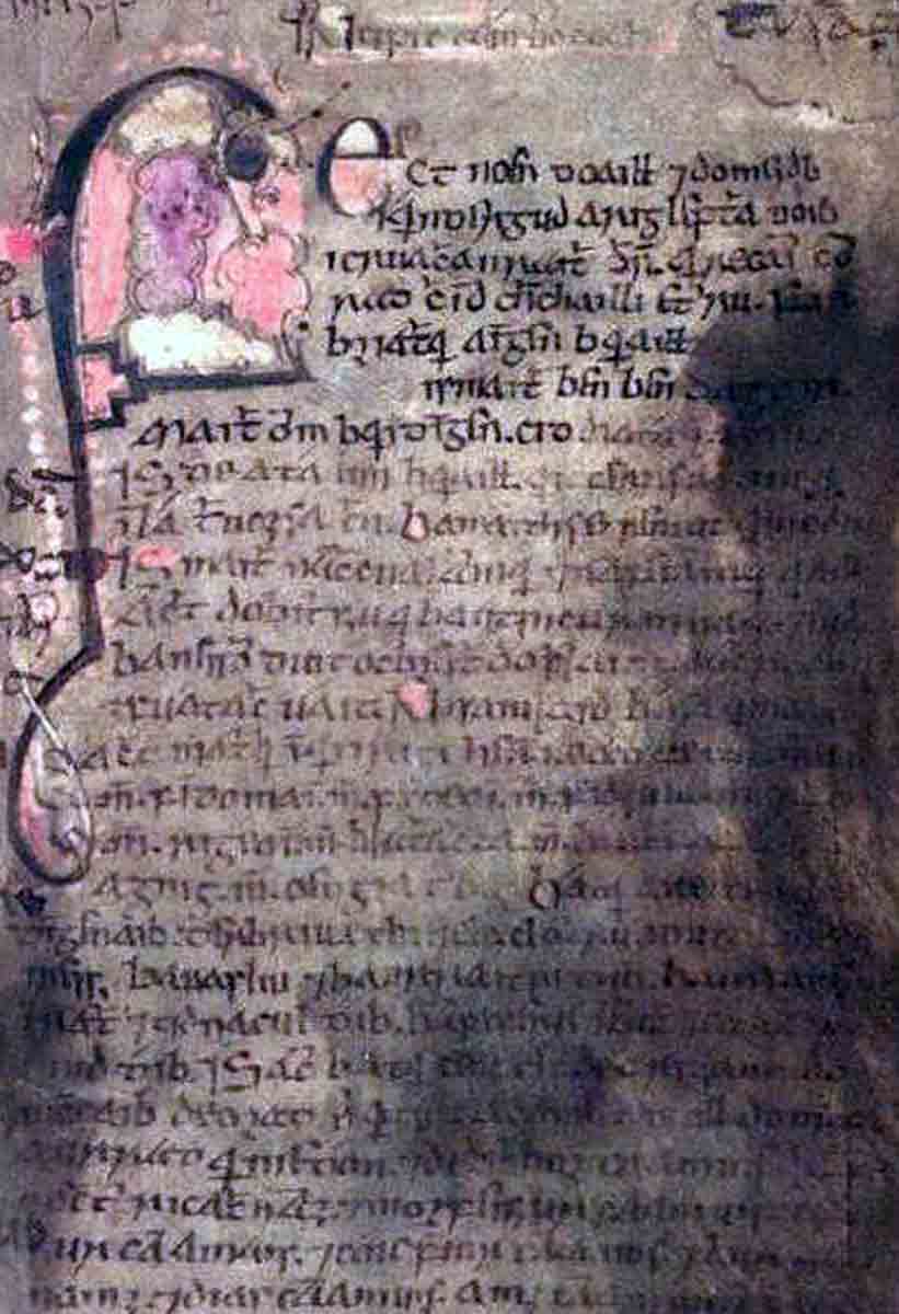 book leinster folio 53