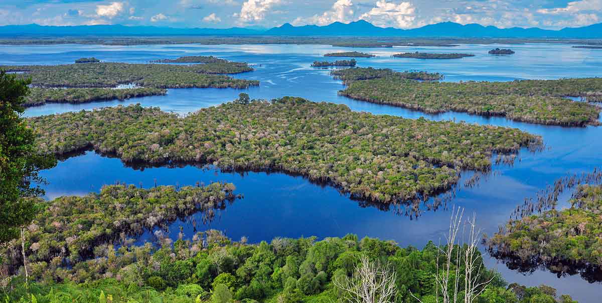 borneo west wetlands