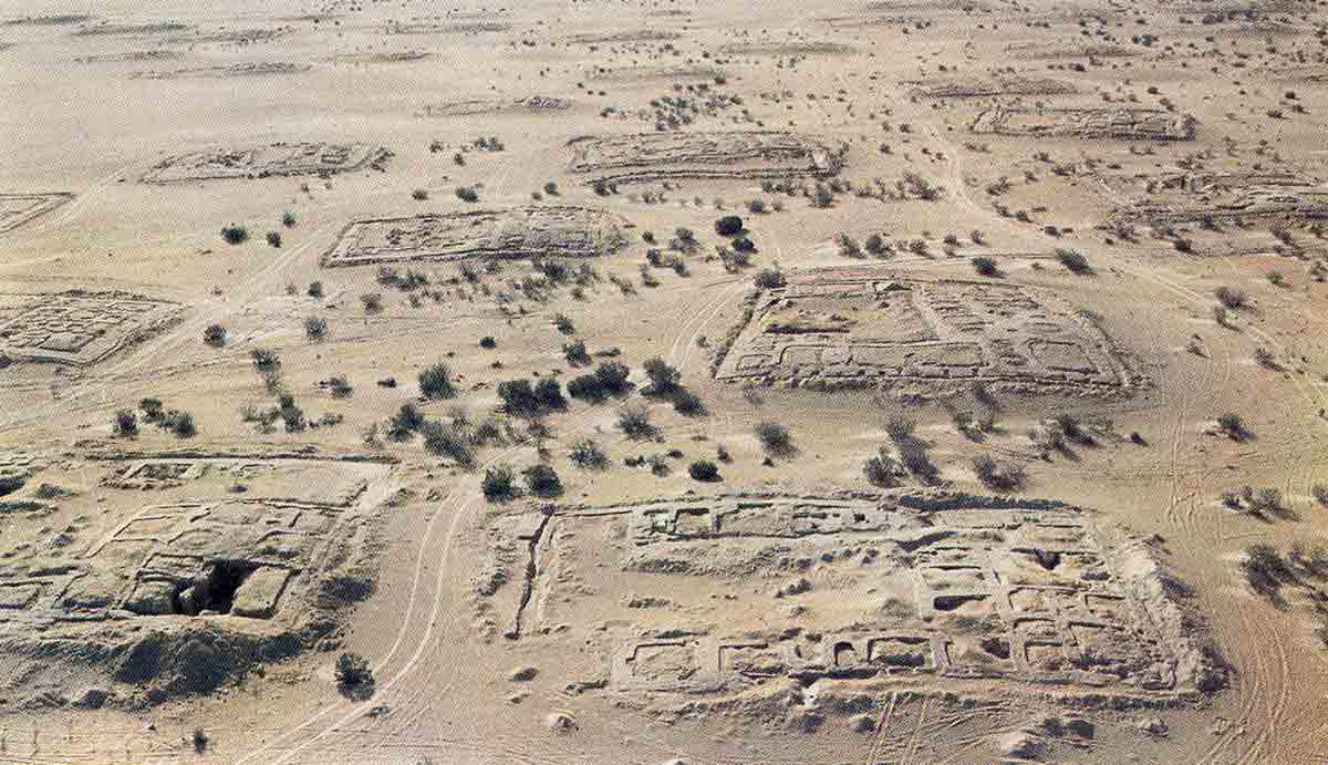cells kellia desert egypt