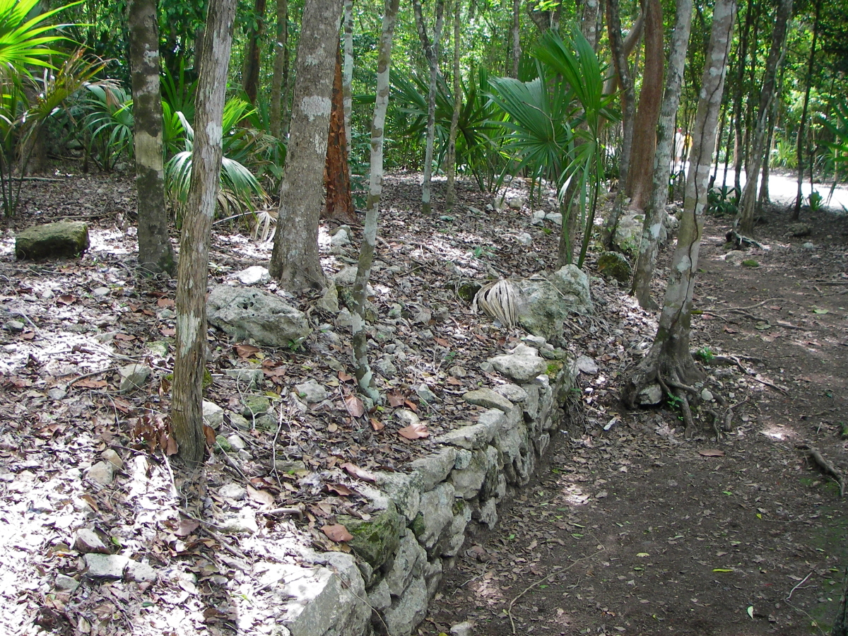 coba ancient road maya