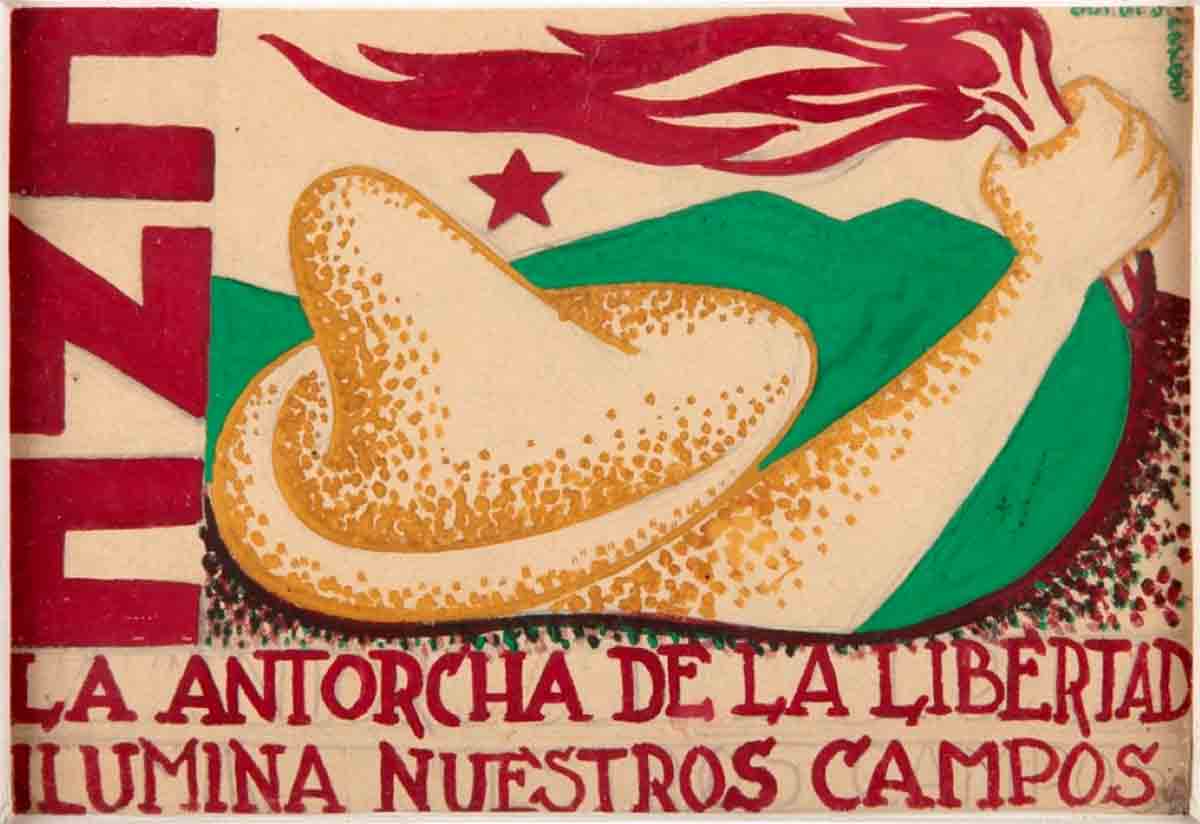 confederacion nacional campesina