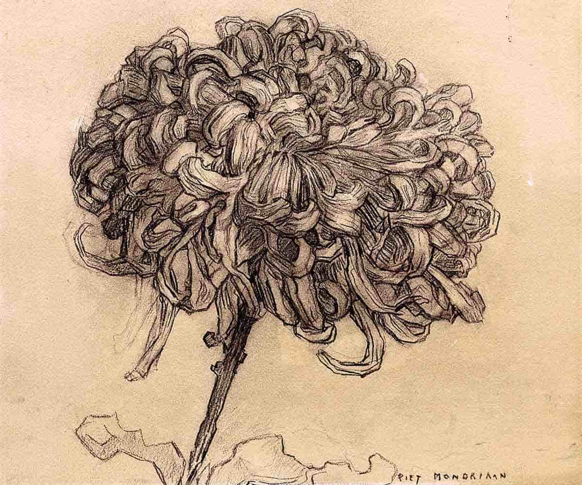 crayon paperboard piet mondrian chrysanthemum