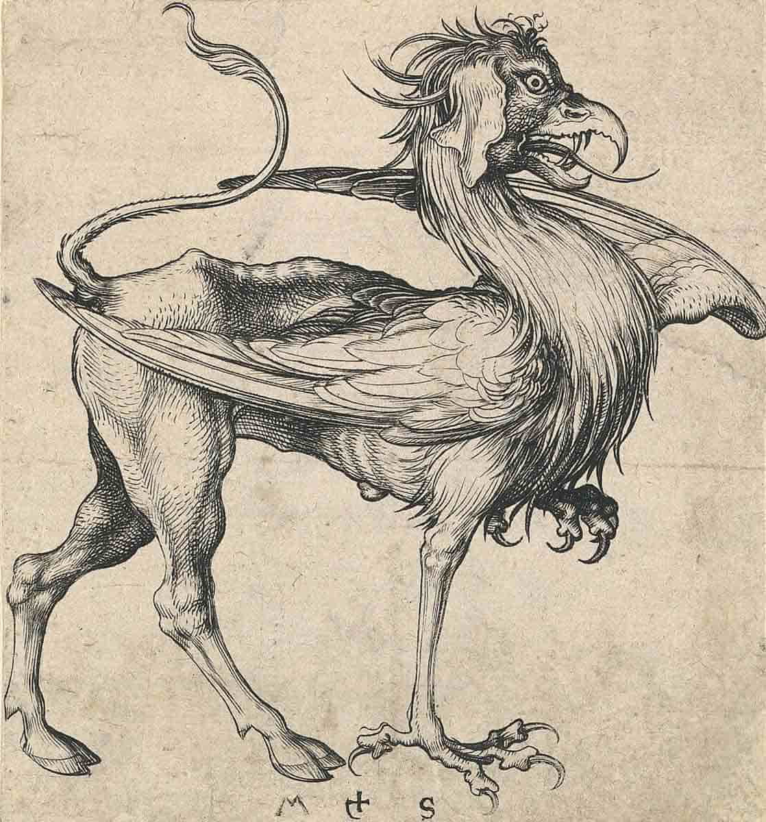 cryptid griffin met