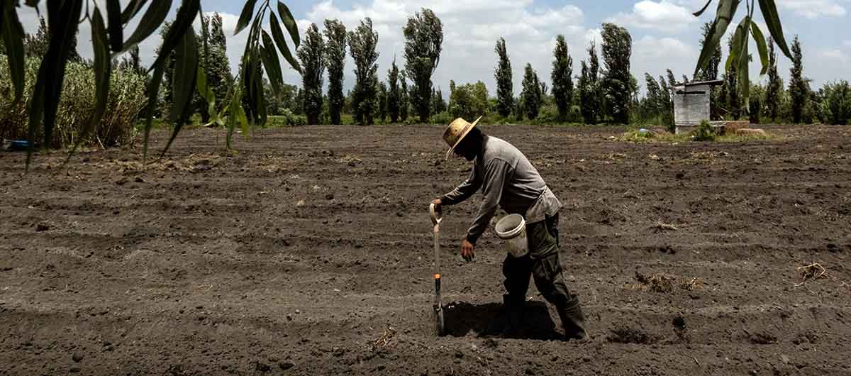 farmer planting crops