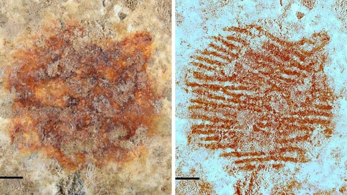fingerprint-pebble-imaging-neanderthal-study-spain