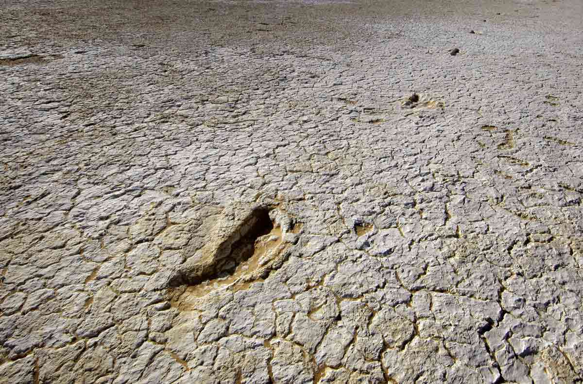 footprint mould mungo warwick thornton