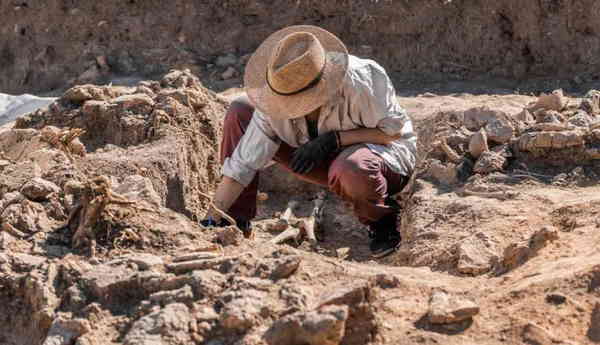 has odysseus palace ithaca been discovered