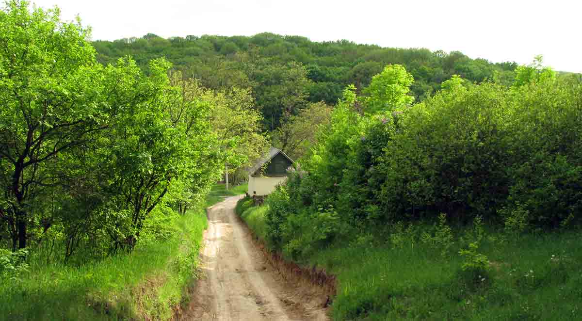 kholodnyi yar village track wikimedia
