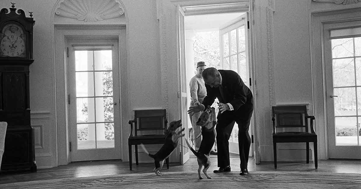 lbj beagles oval office