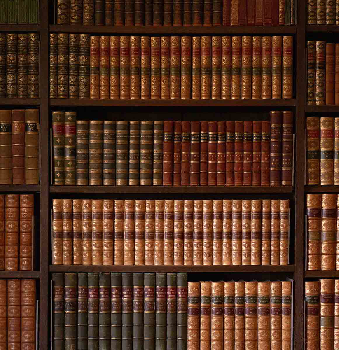 leatherbound shelves rare books