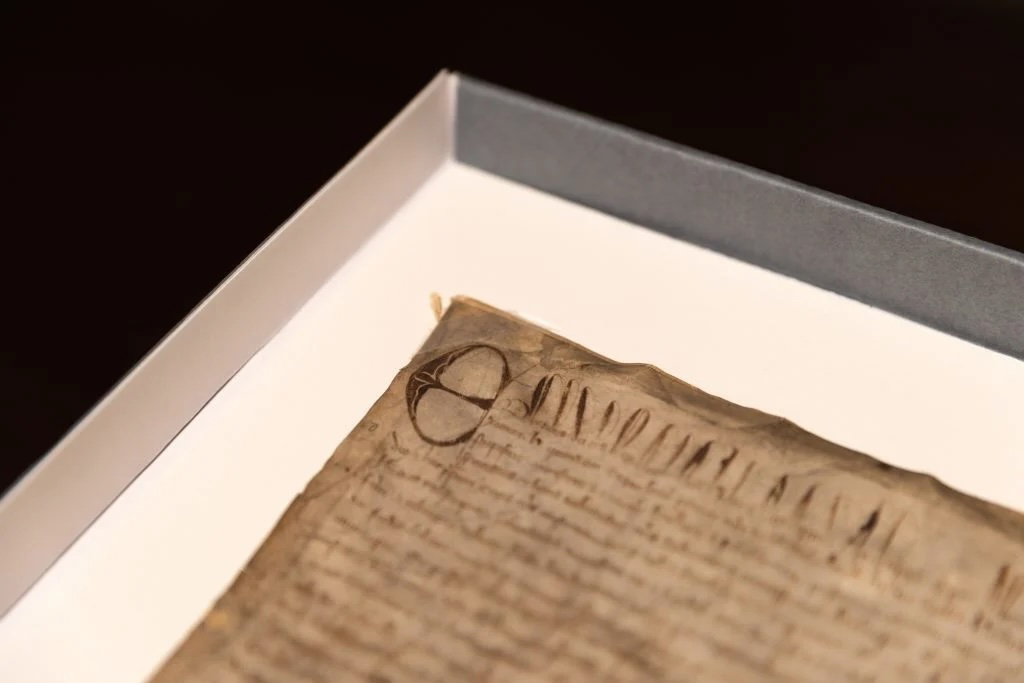 magna-carta-closeup-harvard-law-library