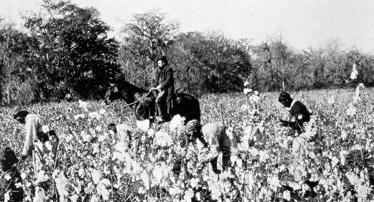 plantation owner cotton slaves south