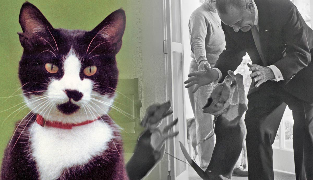 presidential pets
