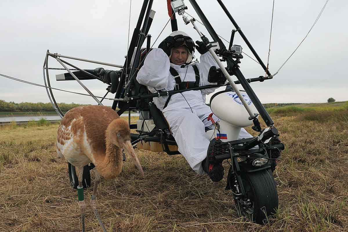putin cranes 2012