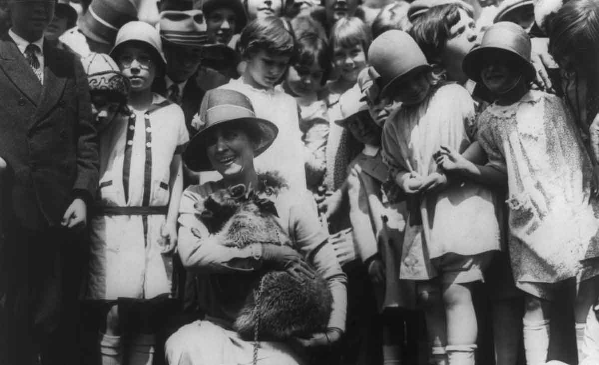 rebecca raccoon coolidge