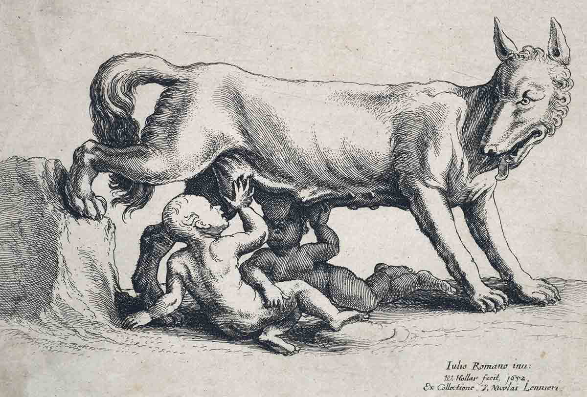 romulus remus wenceslaus hollar 1652 metropolitan museum art