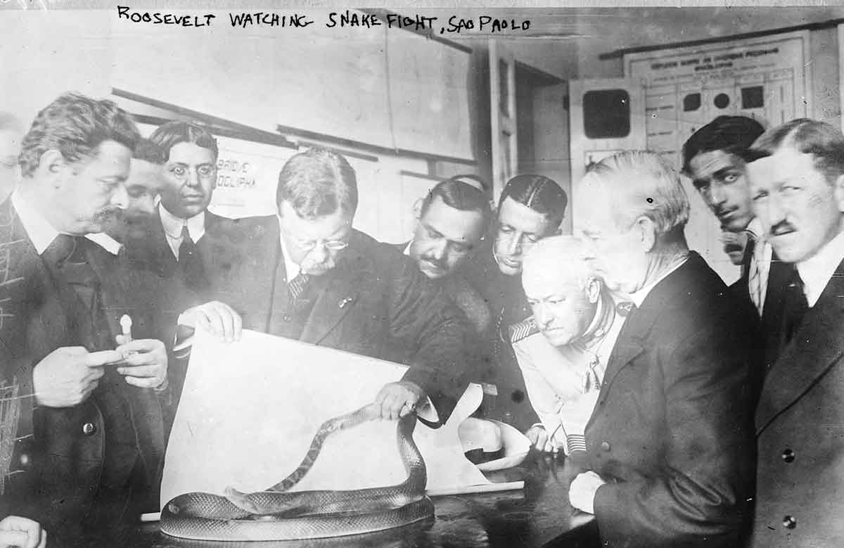 roosevelt meeting snakes