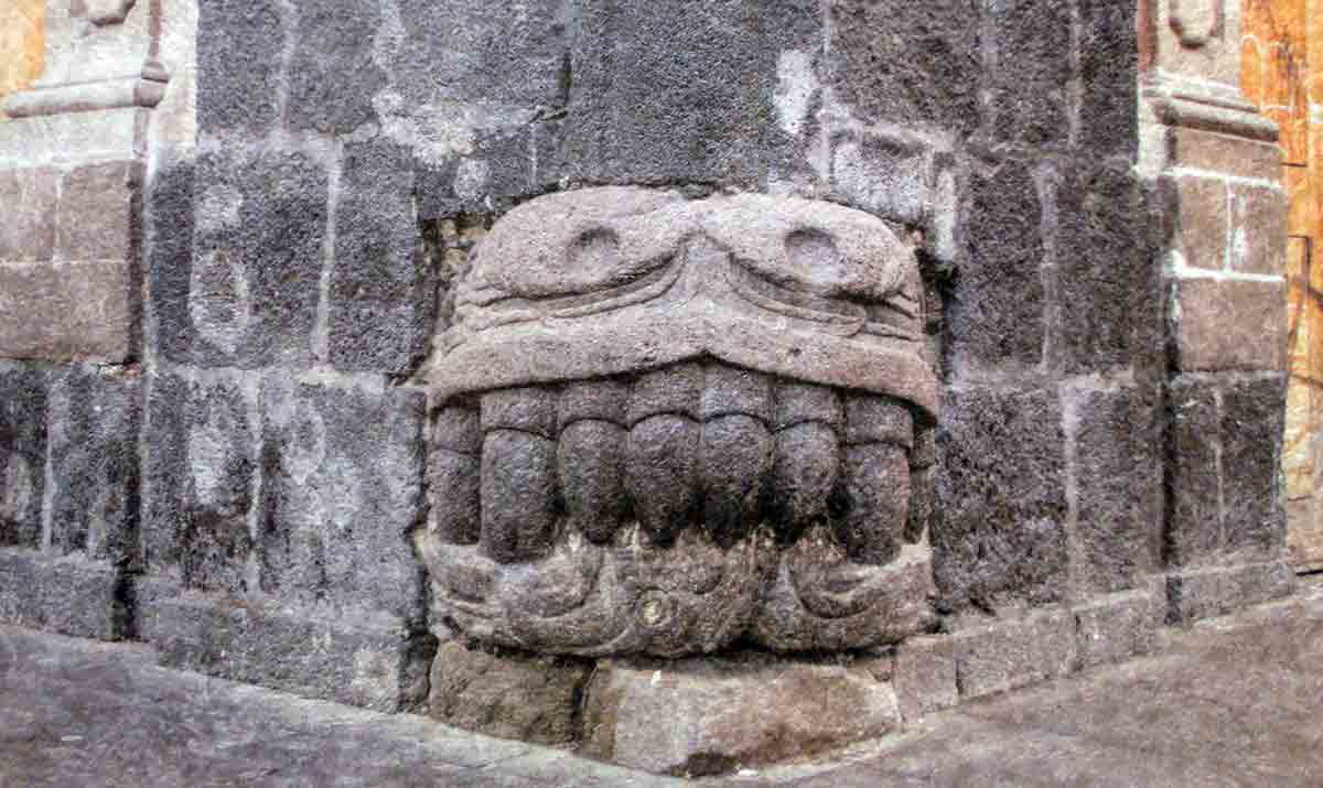 serpent head remains aztec