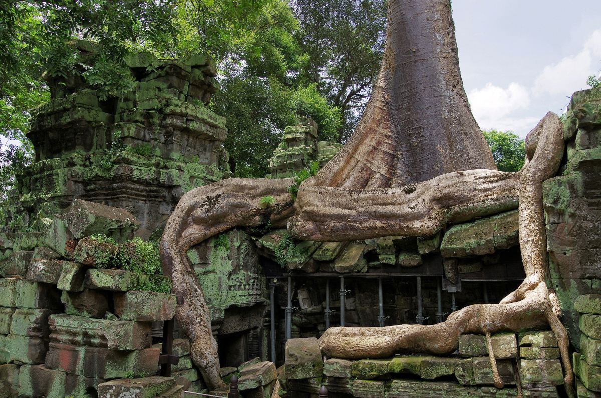 ta prohm temple angkor wat
