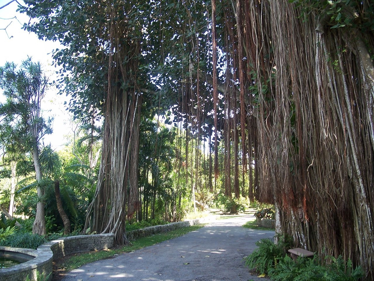 the kampong coconut grove florida