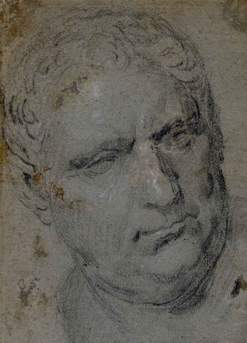 vitellius study budapest