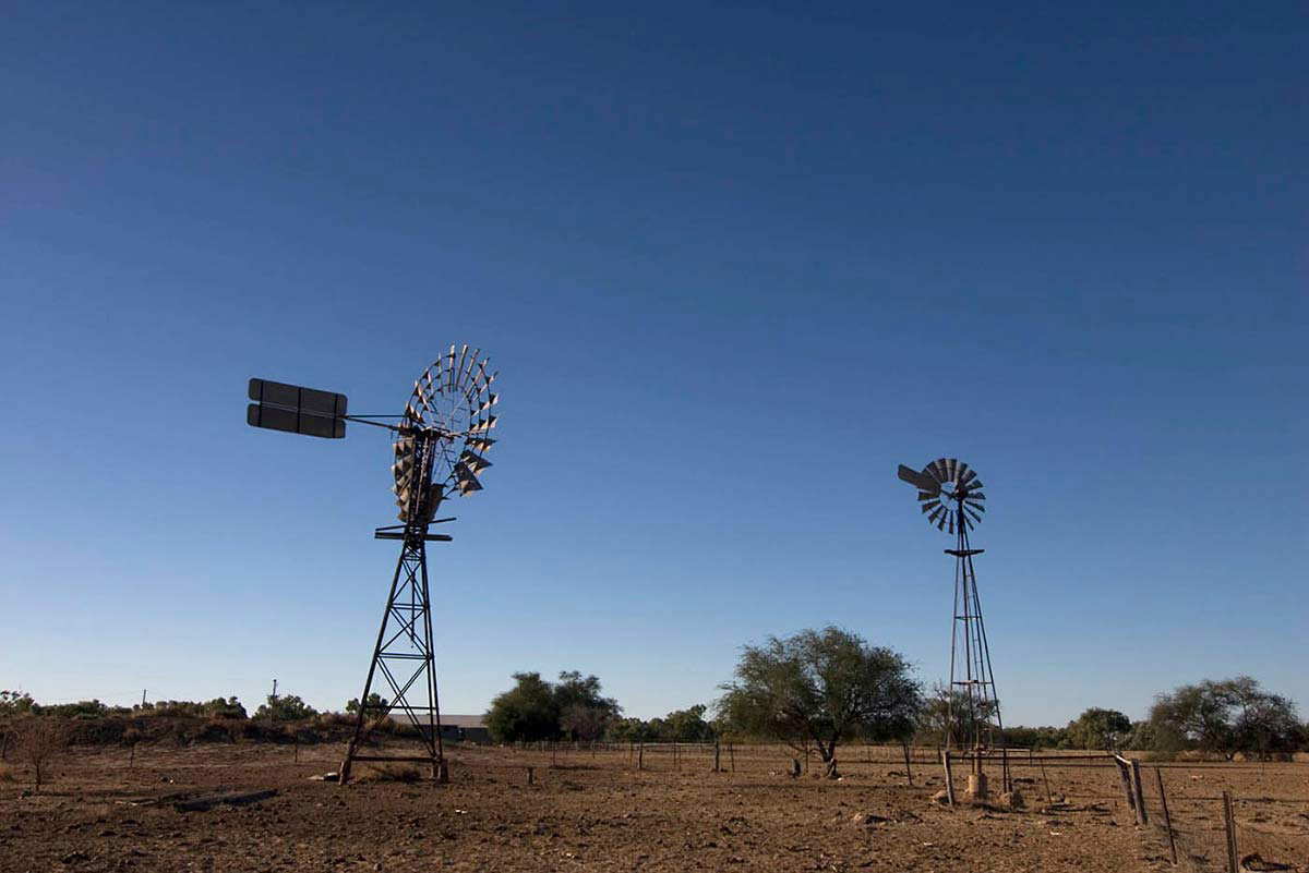 windmill cattle station