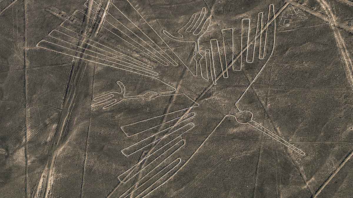 Nazca condor glyph