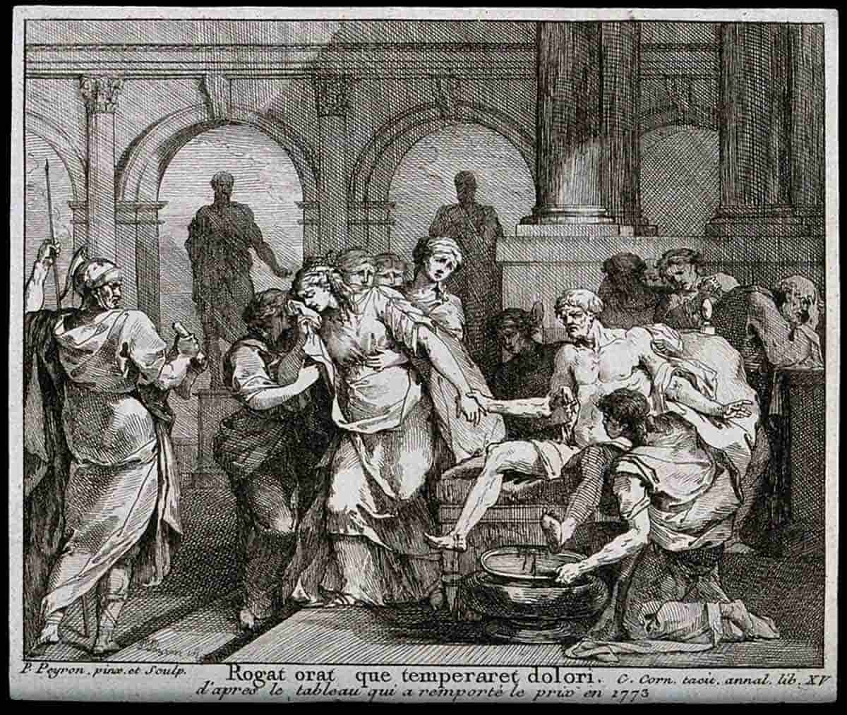 Seneca Suicide Wellcome