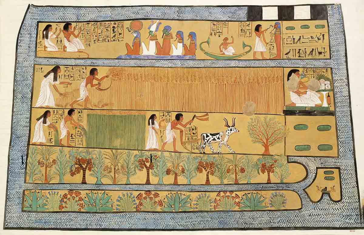Sennedjem Field Reeds