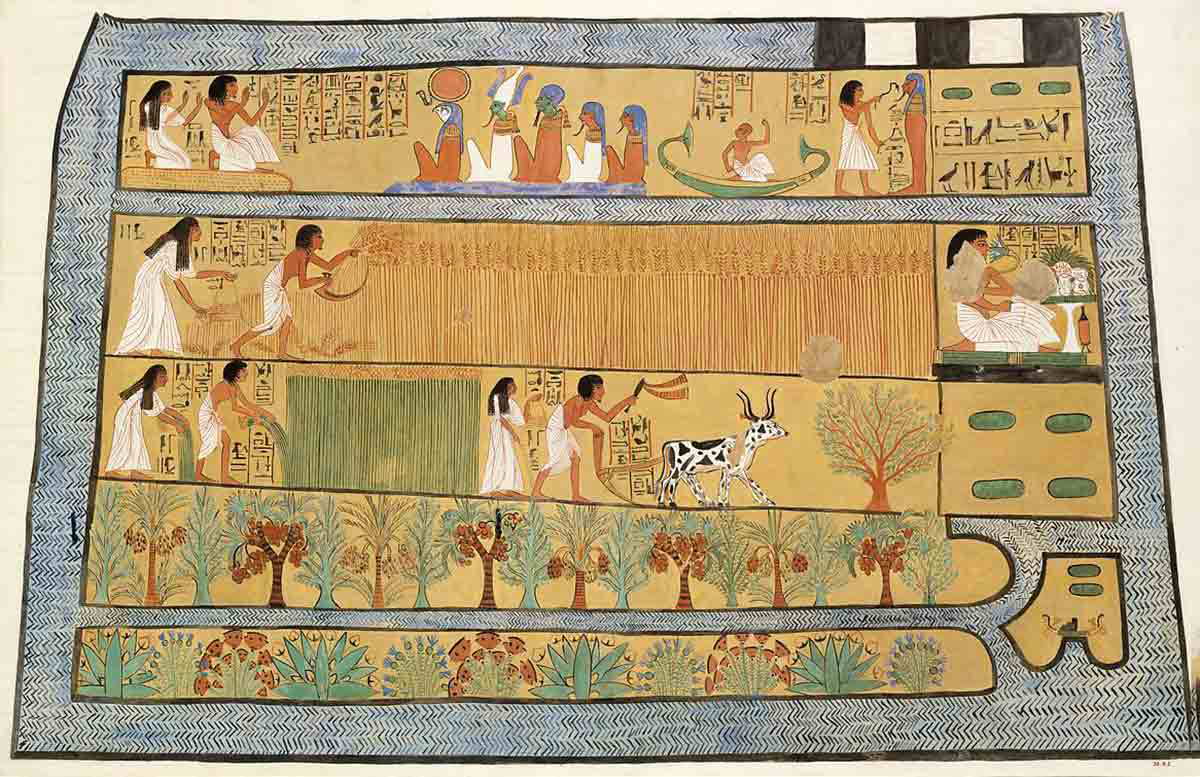 Sennedjem Field Reeds
