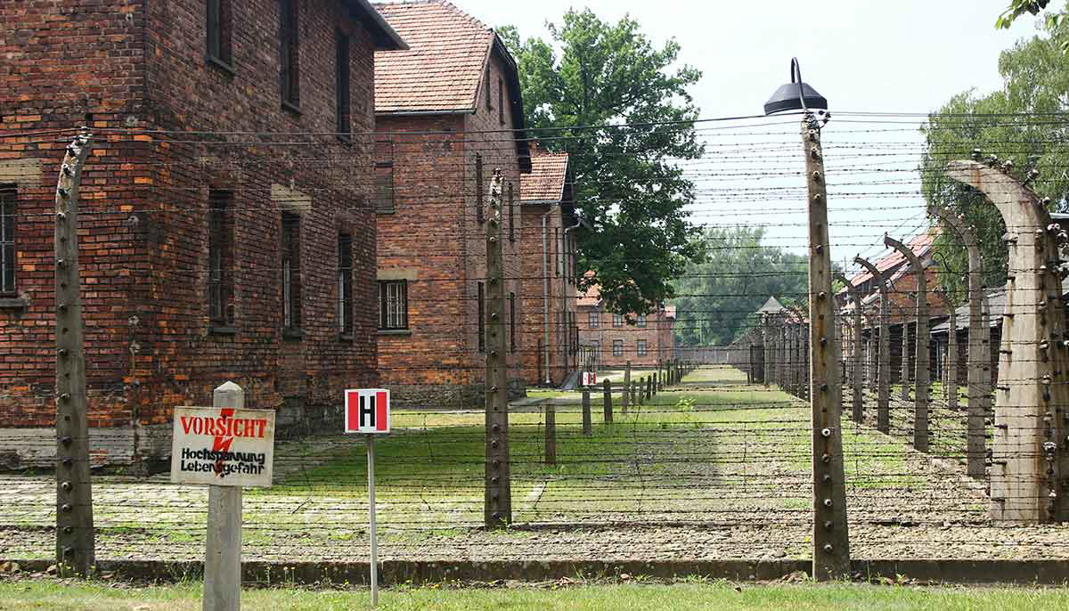 auschwitz 2 barbed wire