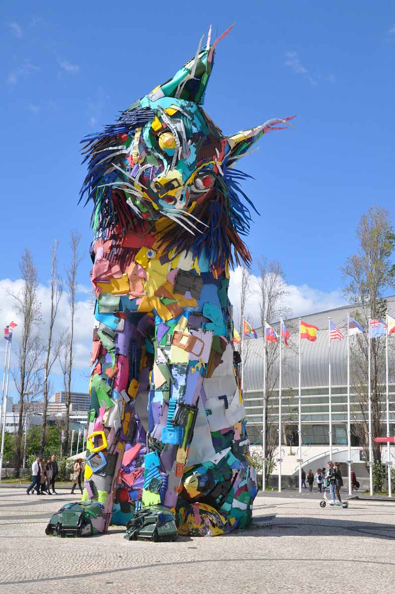 bordalo lynx closeup