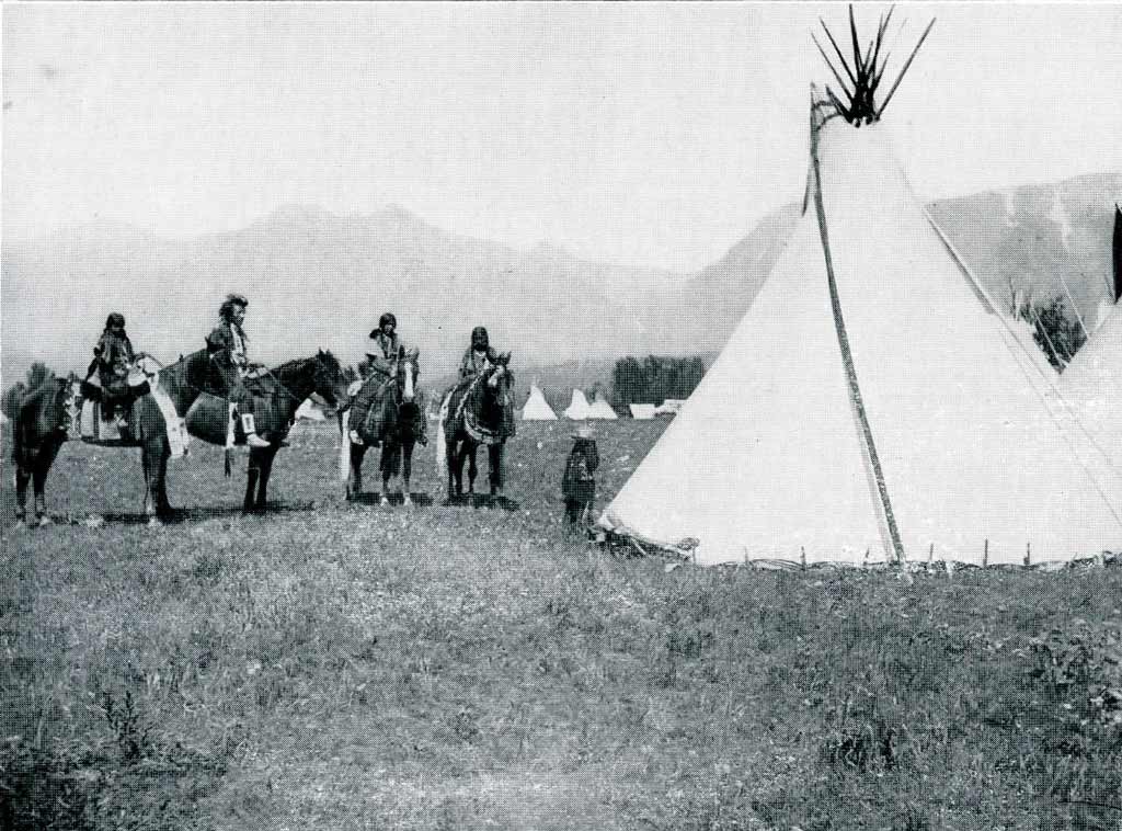cree tipi horses