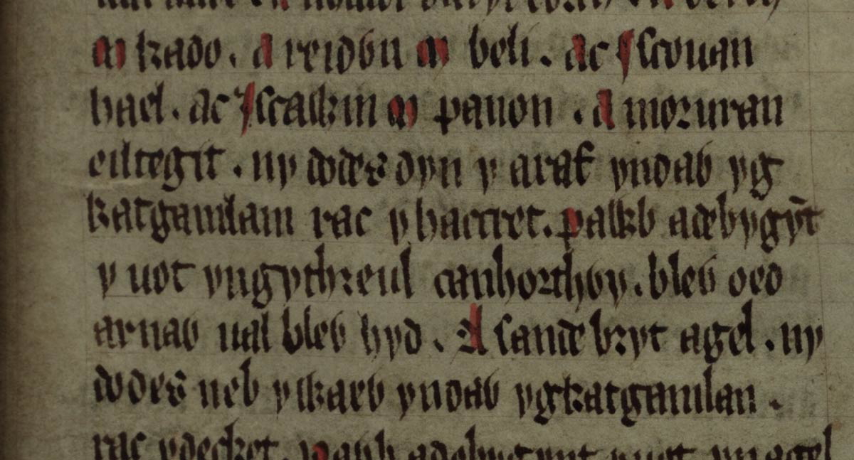 culhwch olwen folio 202r battle camlann