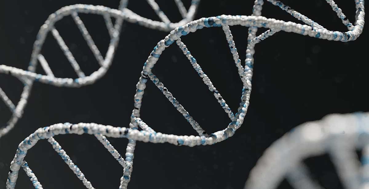 double helix dna digital image