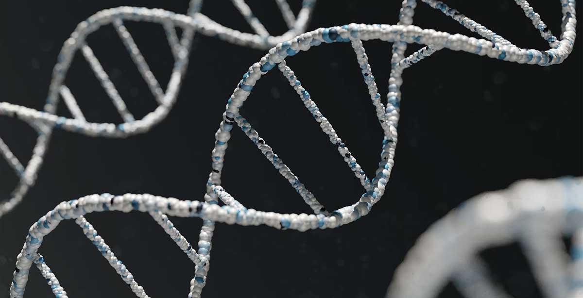 double helix dna digital image