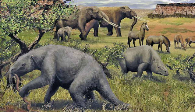 early peoples latin america interacted megafauna
