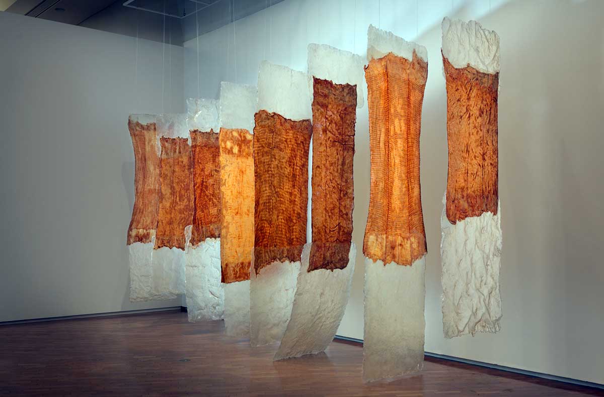 eva hesse contingent