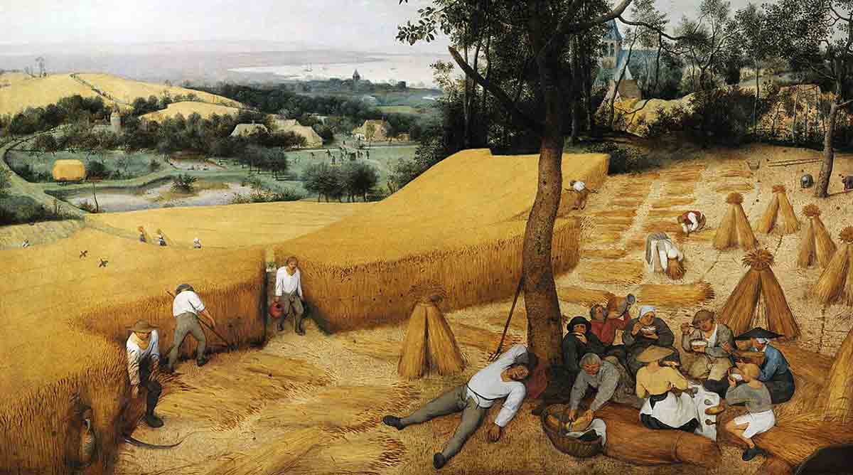 harvesters bruegel the elder
