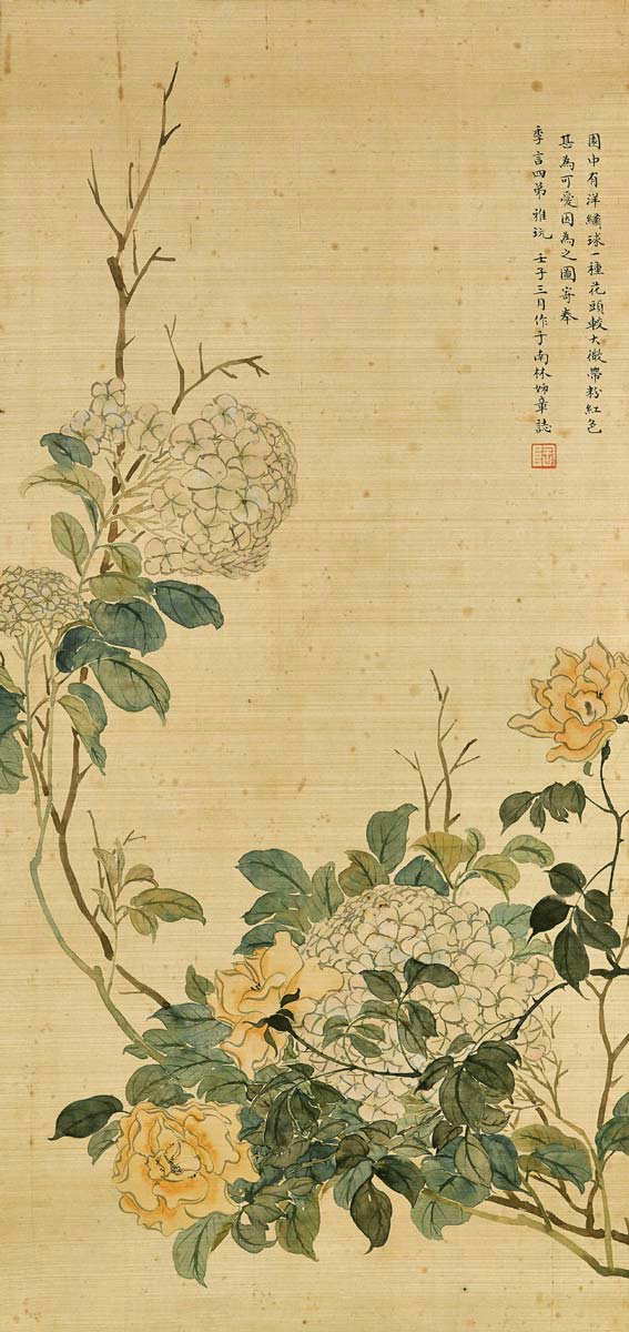 jin zhang roses hydrangea confucianism