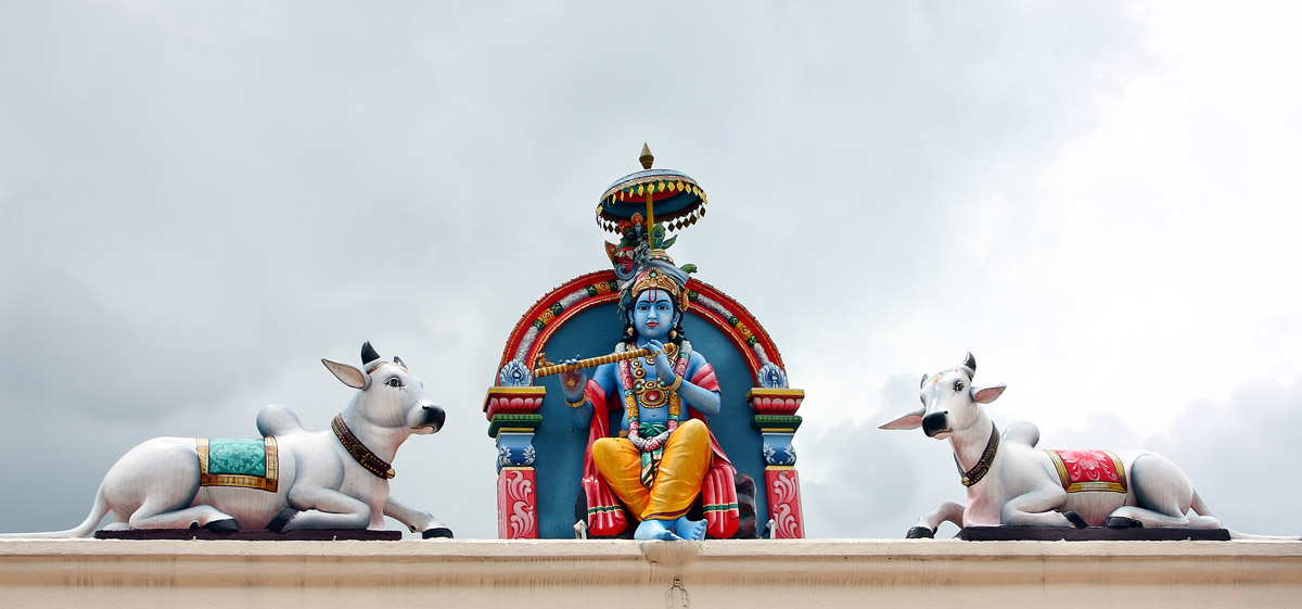 krishna with cows