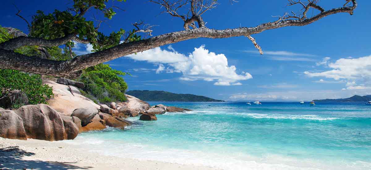 la digue 2