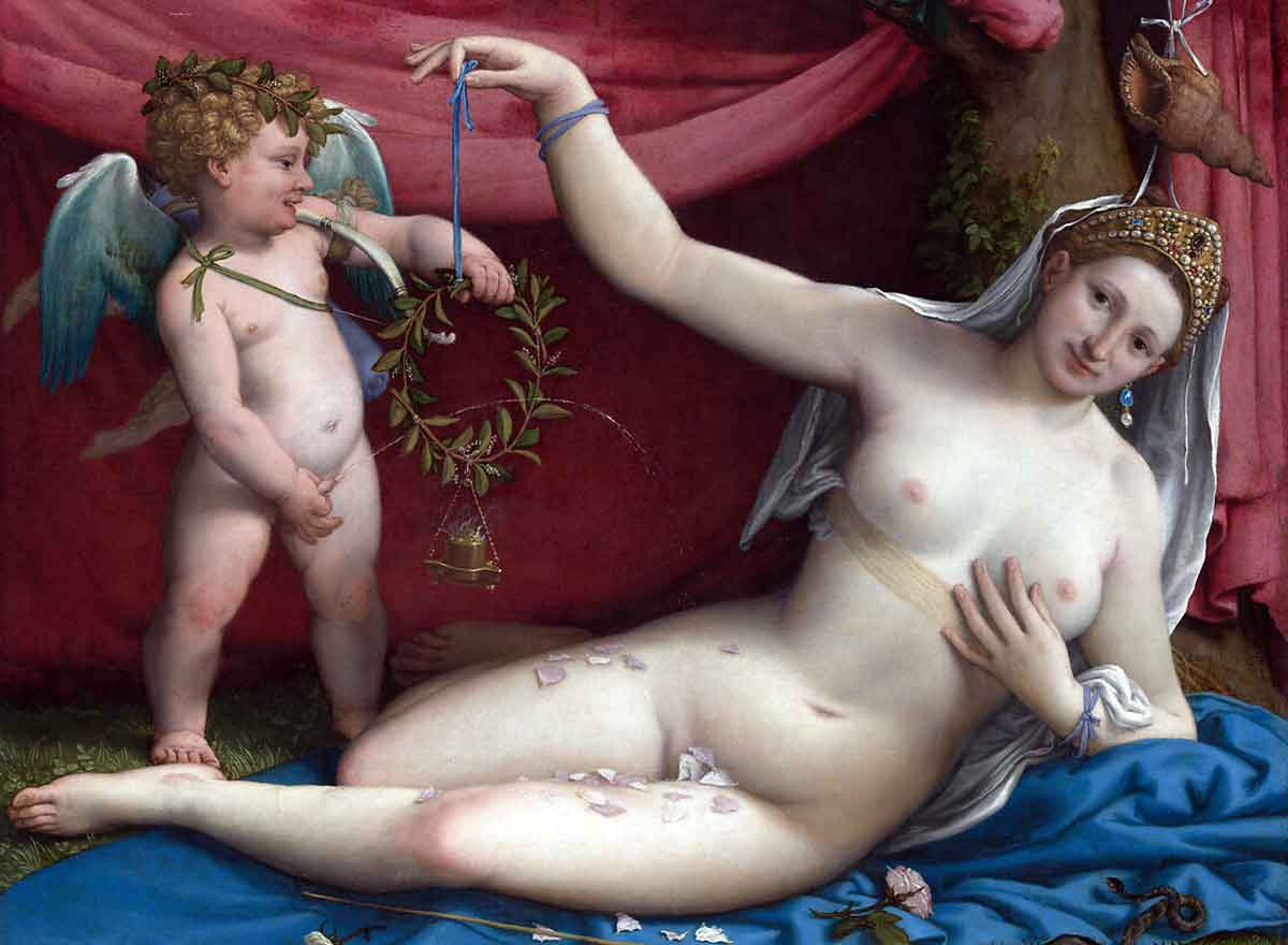 lorenzo lotto venus and cupid painting