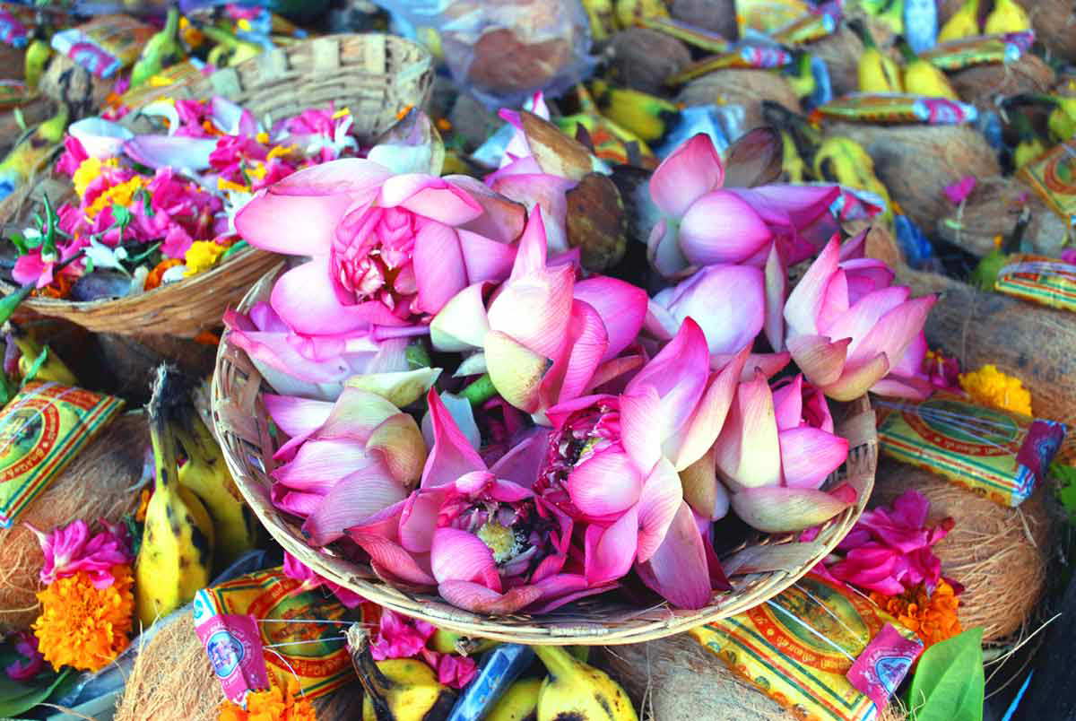 lotus flowers tantra