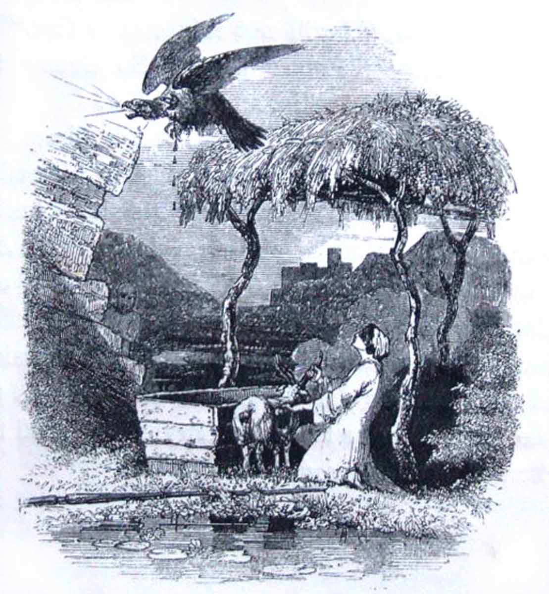 mabinogion lleu