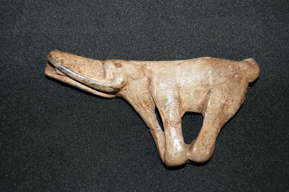 Mamoth spear thrower, ca 14,500 years old. Montastruc, France. Credit: © The Trustees of the British Museum