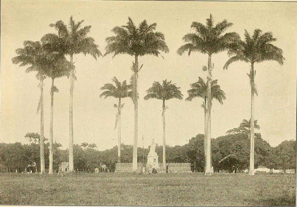 martinique
