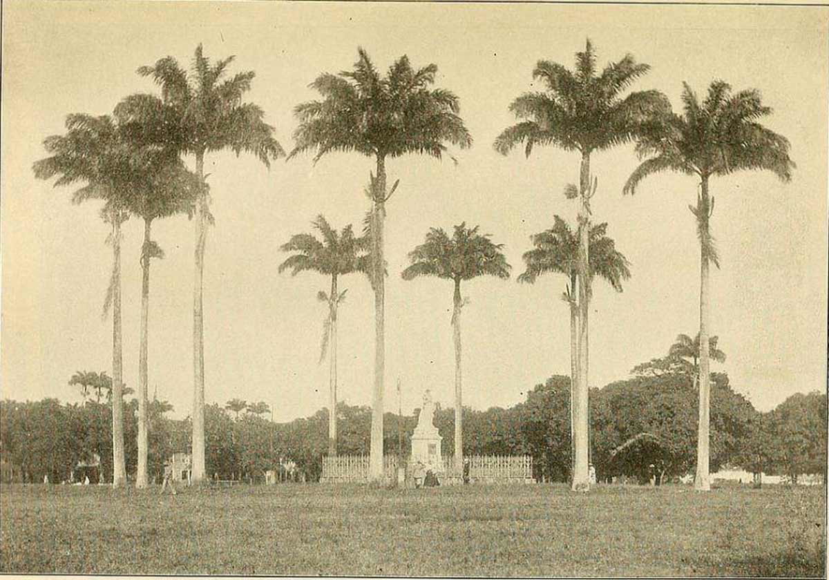 martinique